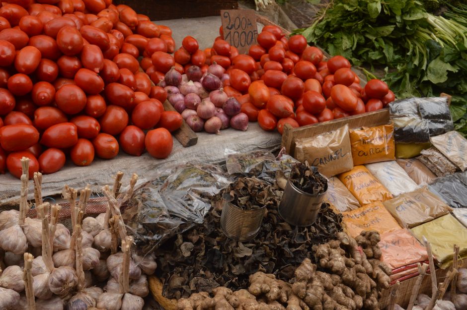Dehydrated onion & garlic sourced from verified Indian suppliers